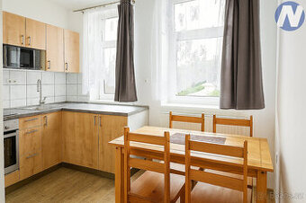 Pronájem bytu 1+1, 39 m2, Zdíkov