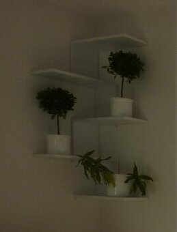 Bílá rohová police 110x52 cm