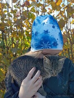 černé a mouraté kotě