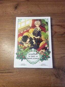 Jednoho dne princeznou 2