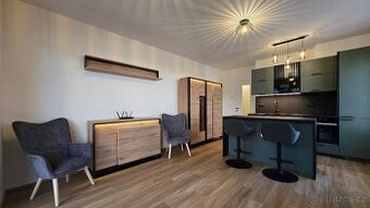 Pronájem krasného nového bytu 1+kk (37m2)