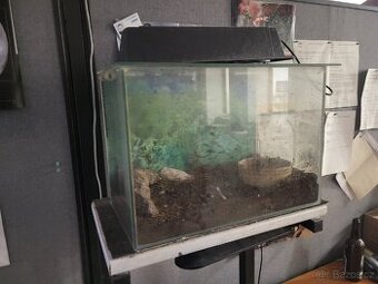 Daruji... 45x30x25 Akvárium