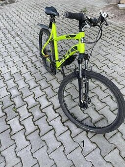 Kola rockrider