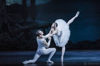 Labutí Jezero, Státní Opera, 29.6. ve 14.00