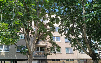 Prodej bytu 3+1 83 m² Hradec Králové, Malšovice