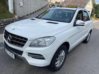 Mercedes-Benz GLE 250 4 Matic
