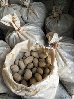 Brambory 🥔