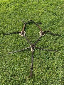 Pětibodový poprsák Kentaur Palermo