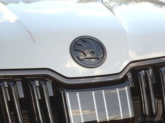 Skoda cerny znak cerne loga emblemy