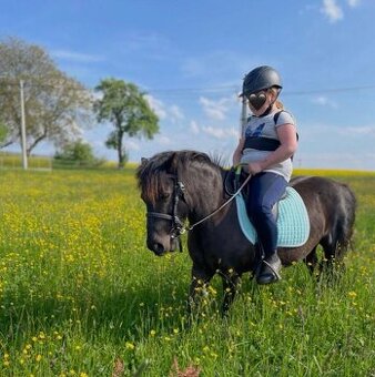 Pony