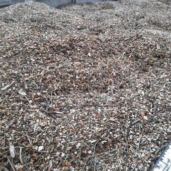 Modřínová štěpka