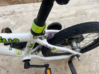 Kolo 16 Rock machine Dino