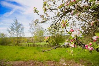 Prodej pozemku 2370 m², Smolnice u Loun