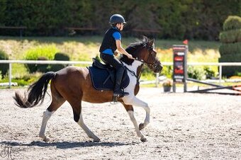 top pony valach pro dítě
