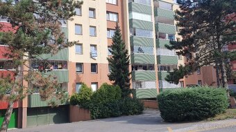 Pronájem bytu 2+1 v Orlové -Lutyni