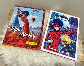 Kouzelná beruška / Miraculous