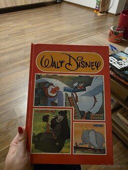 Kniha Walt Disney
