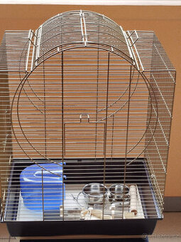 Ptačí klec - po korele