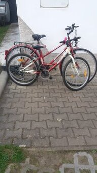 Kola