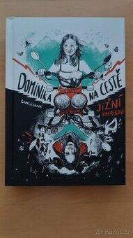Dominika Gawliczková - Dominika na cestě jižní amerikou