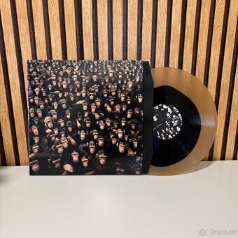 LP Planeta opic - Viktor Sheen