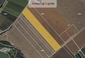 Prodej pole v k.ú. Pševes
