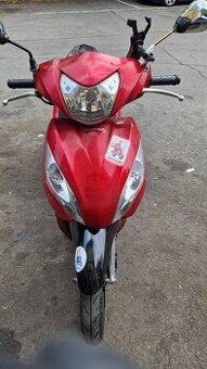 Rozvoz jídla na skútru bez řidičáku (Pronájem skútrů)