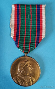 Pamětní medaile 22. střeleckého pluku Argonského velmi pěkná