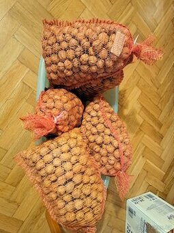 Vlašské ořechy 50,-kč /1kg