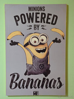 Obraz na plátně 60x90 cm - Mimoň