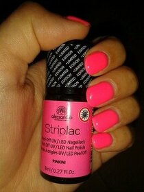 Striplac Pinkini výprodej