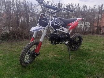Pitbike 125 Buffler d125y