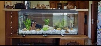 Akvárium 120 l
