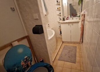 Pronájem pokoje v bytě 3+1