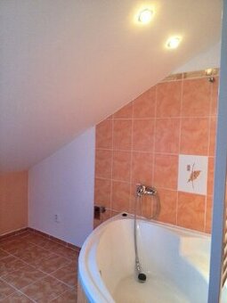 Pronajmu podkrovní byt 2+1 76m2 v Ostravě se zahradou