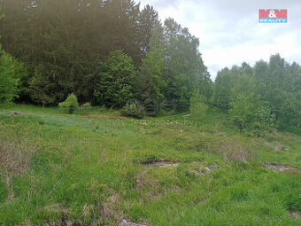 Prodej louky, 7967 m², Kořenov, Liberec
