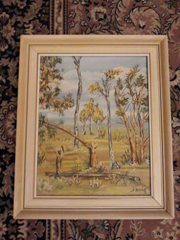 Obraz s rámem Obraz s rámem