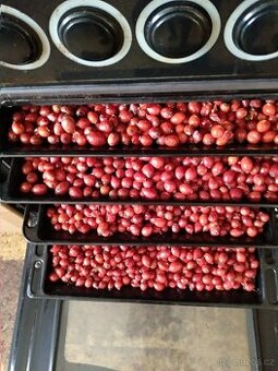 Sušené šipky a jiné bylinky