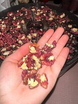 Domácí červené vlašské ořechy