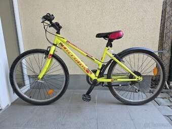 Dětské kolo 24" leader Fox Buffalo