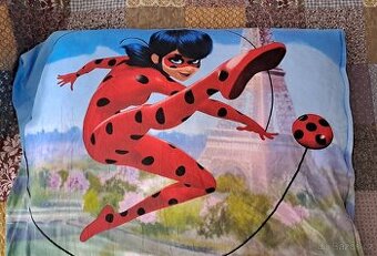 Beruška a kocour, miraculous