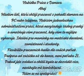 Domácí práce - přivýdělek