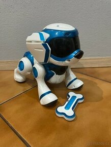Roboticky pejsek