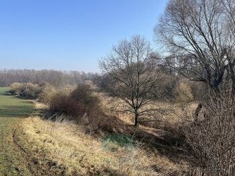 Prodej pozemky - trvalý travní porost, 698 m2 - Praha - Král