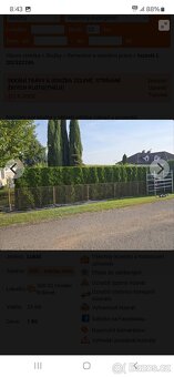 SEKÁNÍ TRÁVY A ÚDRŽBA ZELENĚ, STŘÍHÁNÍ ŽIVÝCH PLOTU(THŮJÍ) -