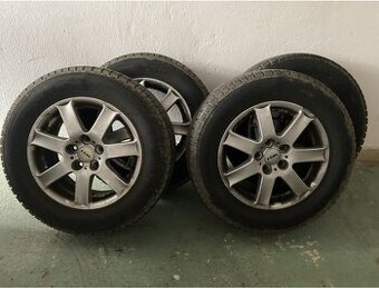 VW T5