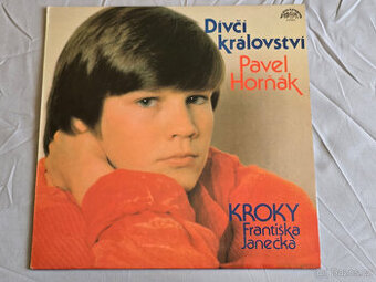 LP PAVEL HORŇÁK: DÍVČÍ KRÁLOVSTVÍ (1987)