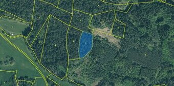 Prodej lesa Doubravice- Nahošín 3 910 m²
