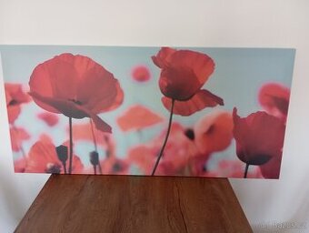 Obraz IKEA vlčí máky