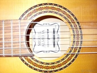 Španělská kytara